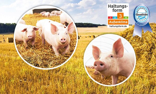 Verpackungen der Marke 'Bayerisches Strohschwein' nebeneinadner angeordnet